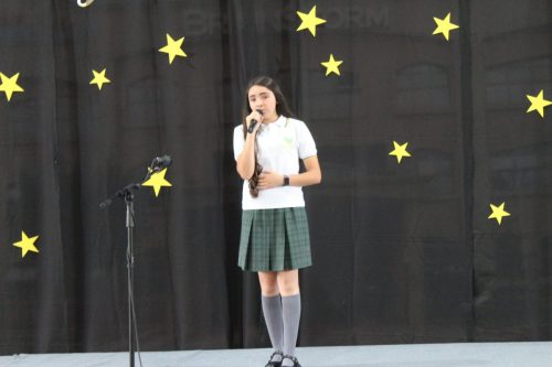 IMG 0668